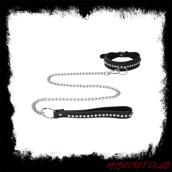 Ouch Diamond Studded Collar With Leash