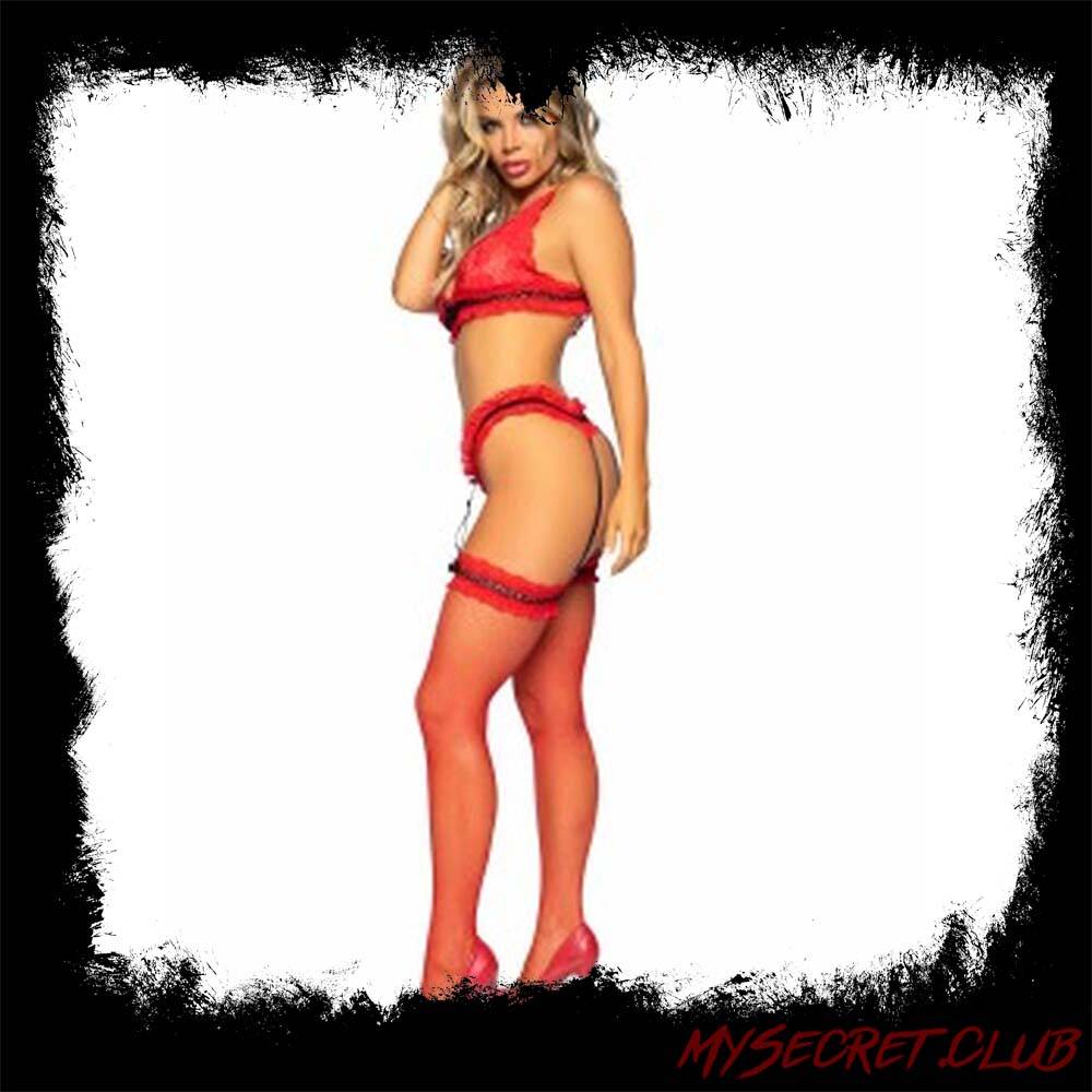 Leg Avenue Bra Panty and Stockings Set Red