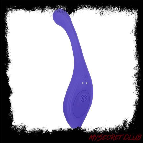 Evolved Anywhere Vibe