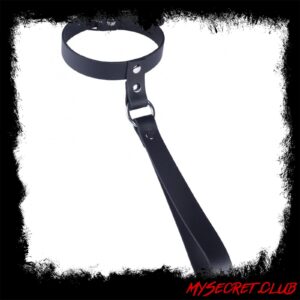 The Red Leather Collar with Short Leash