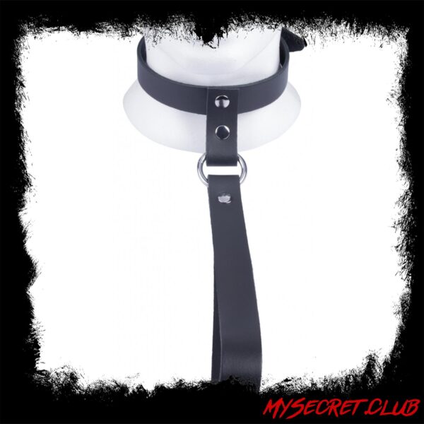 The Red Leather Collar with Short Leash