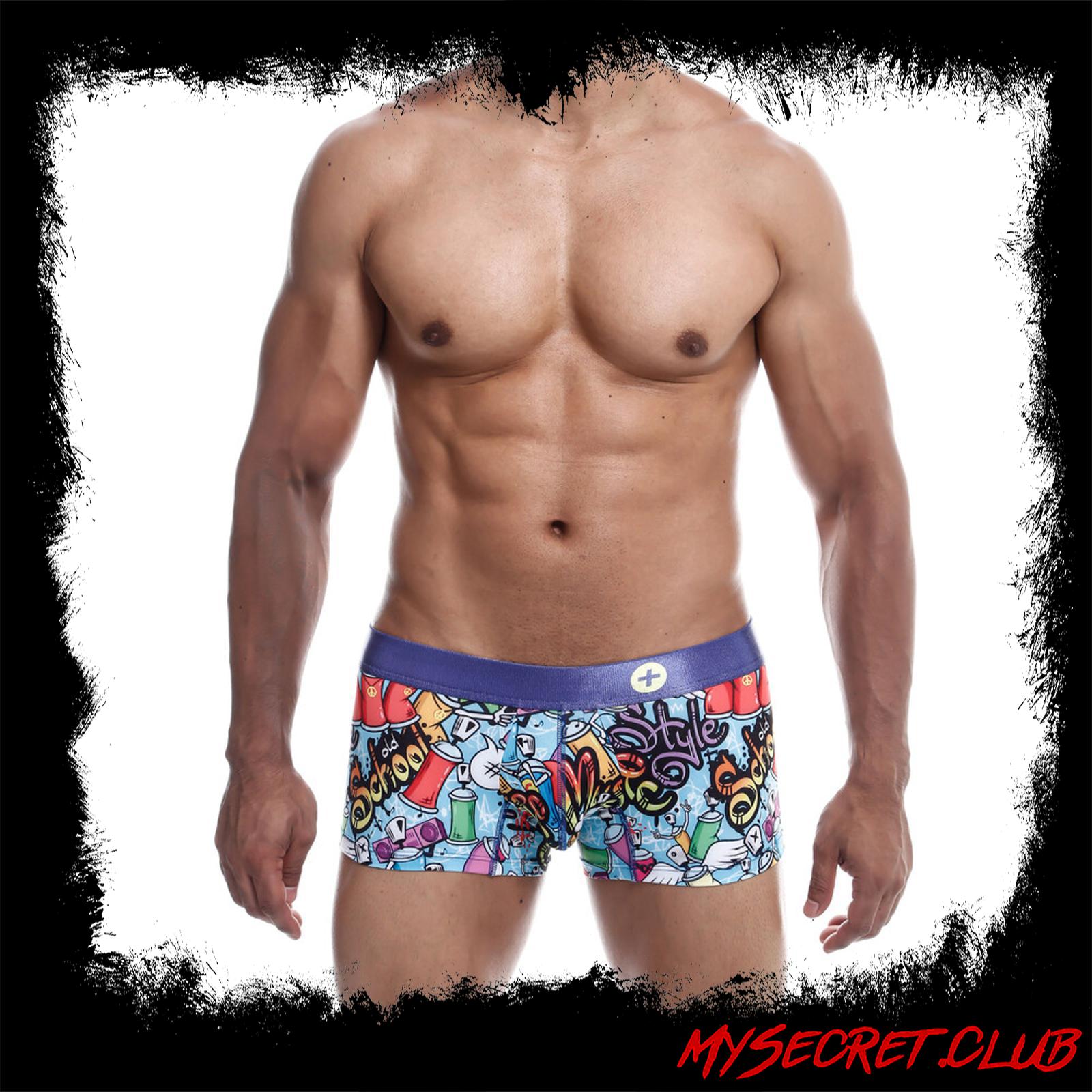 Male Basics Hipster Trunk