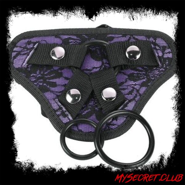 Me You Us Lace Harness With Bullet Pocket