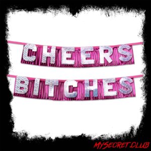 Bachelorette Party Favors Cheers Bitches Party Banner