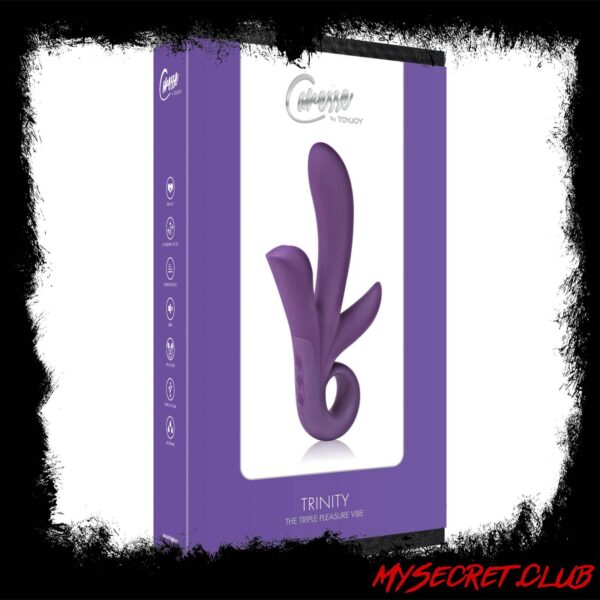 ToyJoy Trinity Triple Pleasure Vibrator Purple