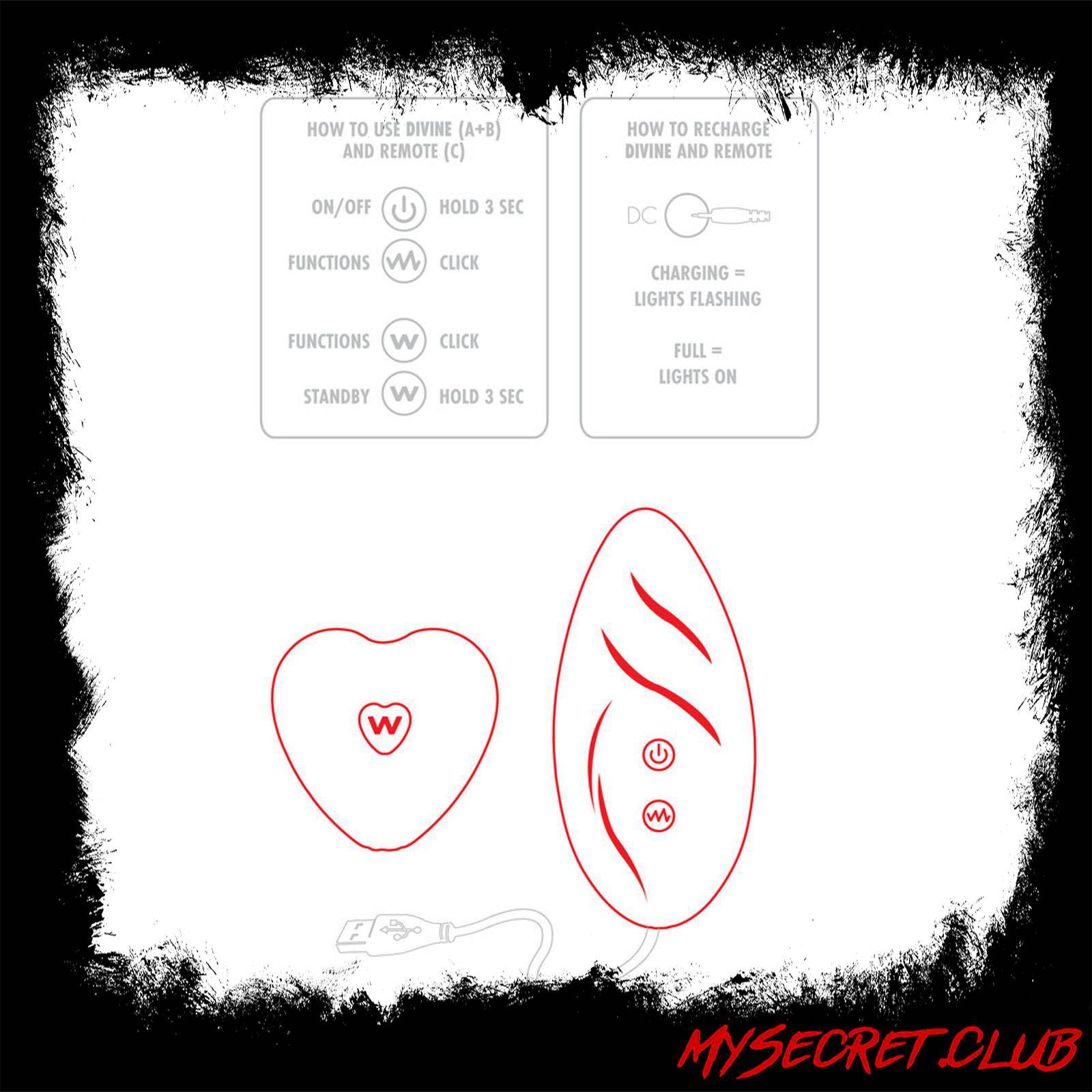 ToyJoy Divine Panty Vibe