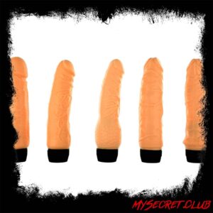 The Magnificent 5 Multi Speed Vibrator Set