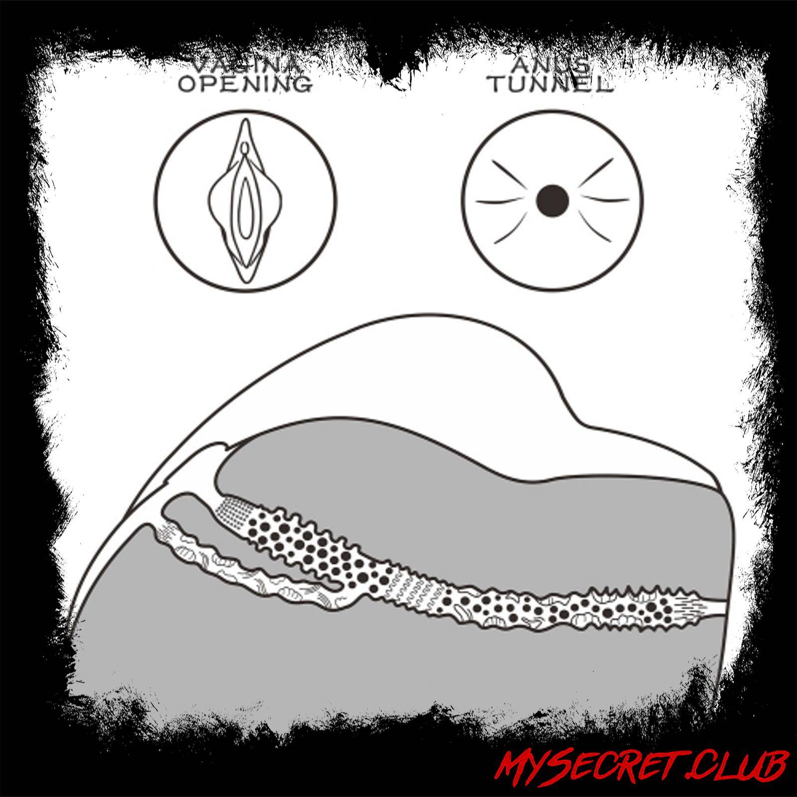 Lovetoy Streetgirls Number 3 Masturbator Flesh Pink