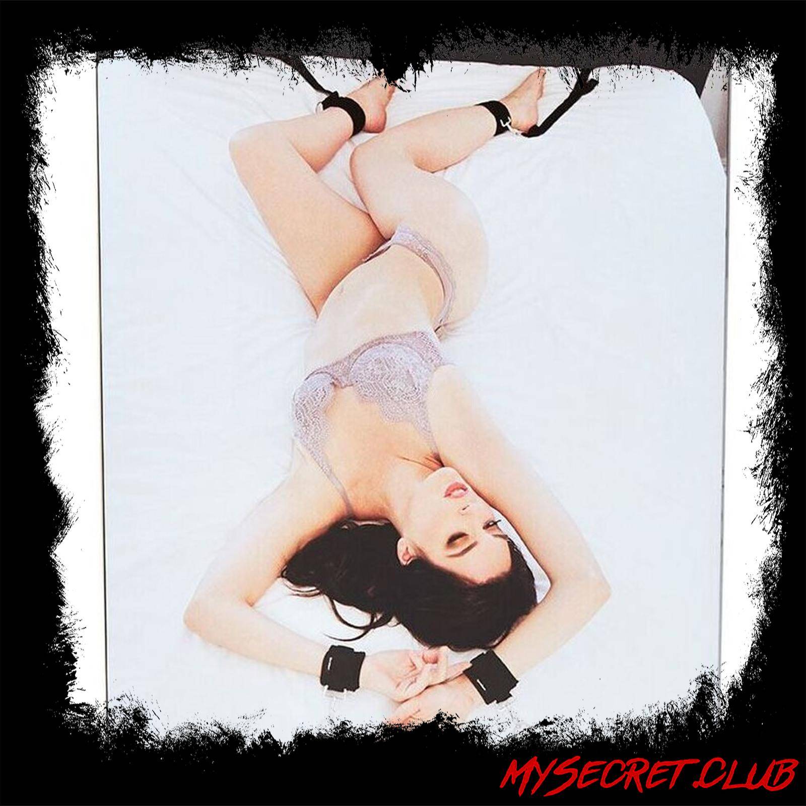 SportSheets Under The Bed Restraint System