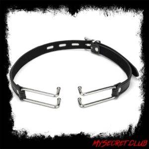 Me You Us Spider Stretch Gag 2