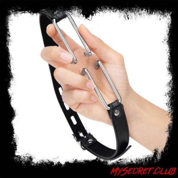 Me You Us Spider Stretch Gag 2
