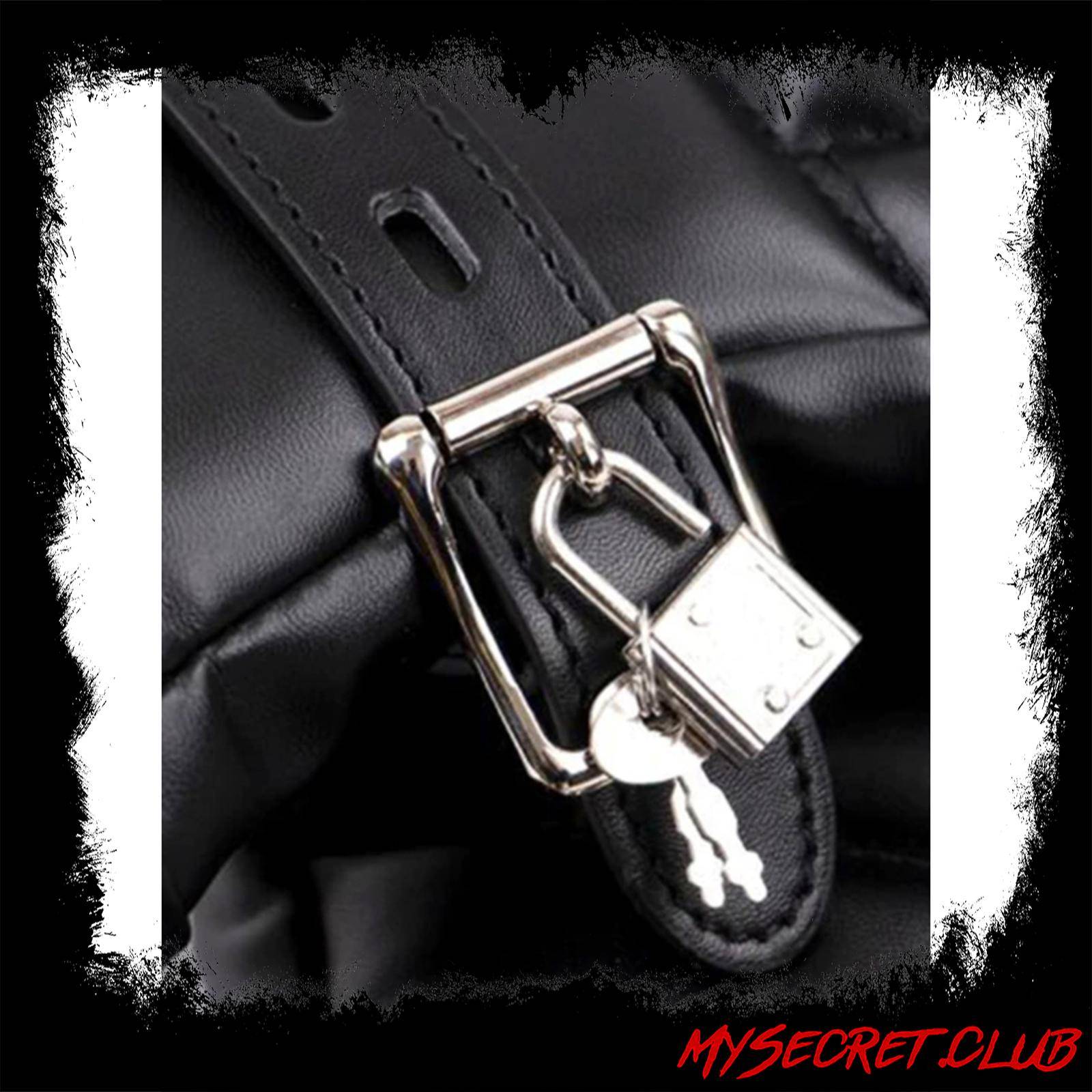 Neoprene Dog Glove Mitts Puppy Play