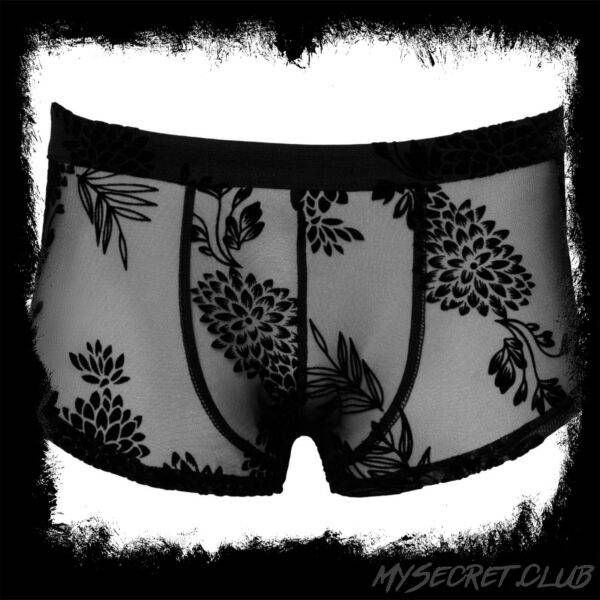 Noir Sheer Floral Lace Pants
