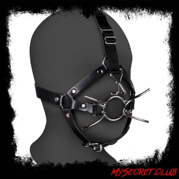 Ouch Xtreme Head Harness With Spider Gag And Nose Hooks