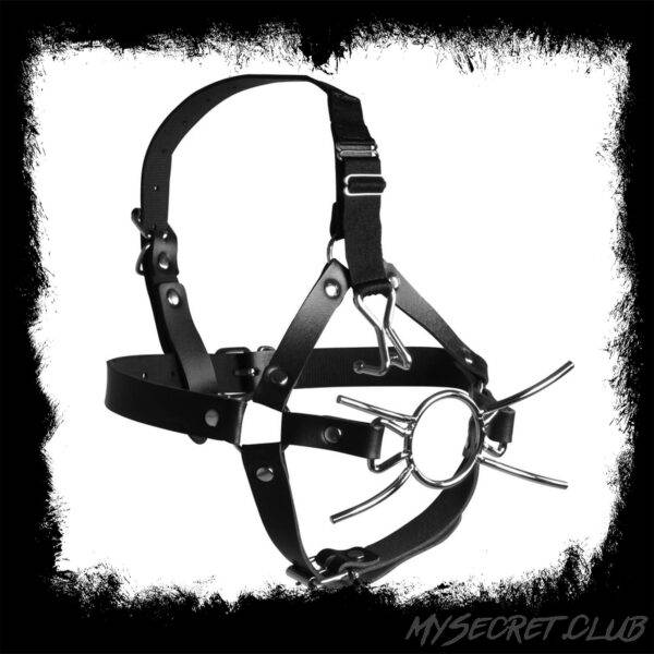 Ouch Xtreme Head Harness With Spider Gag And Nose Hooks