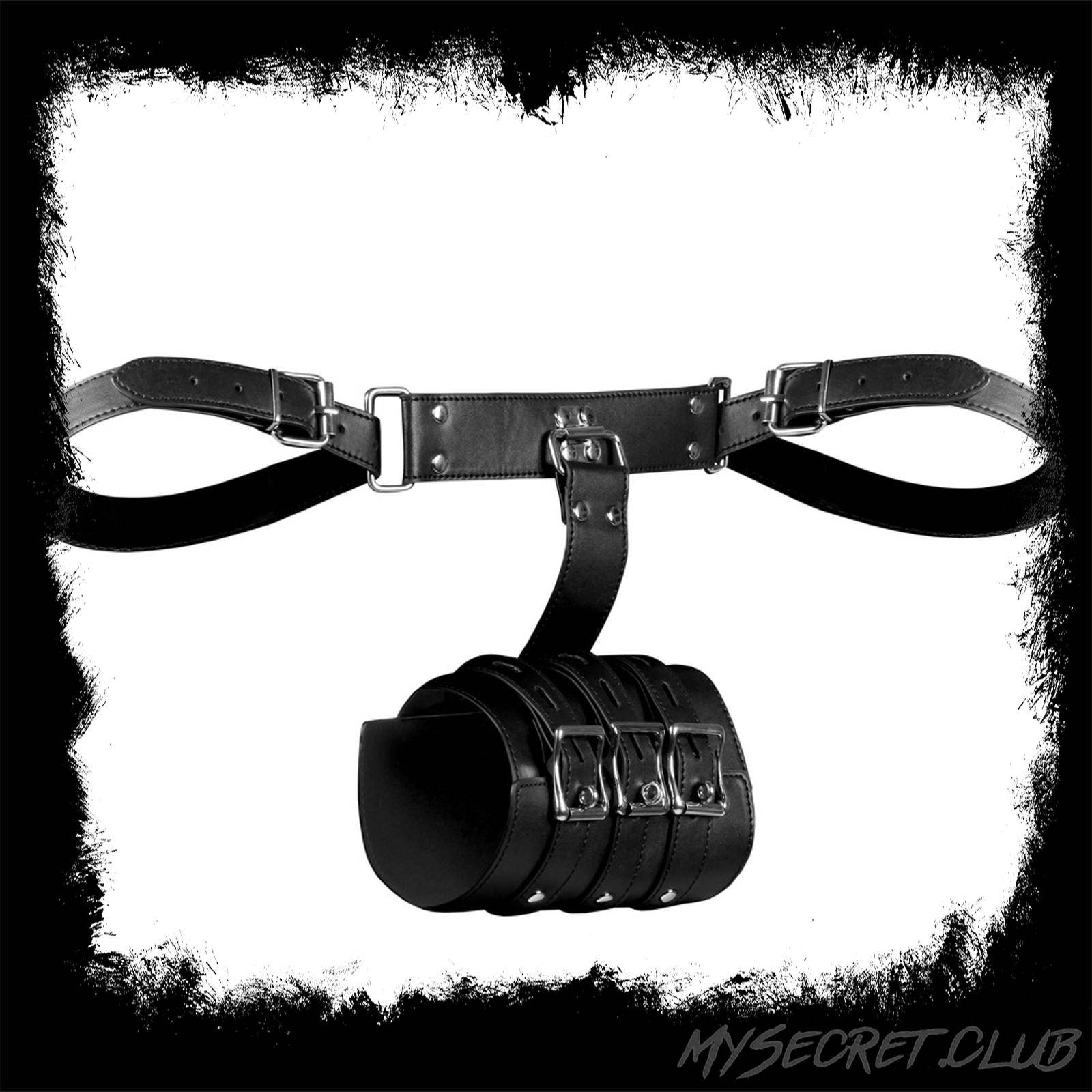 Complete Arm Restraints