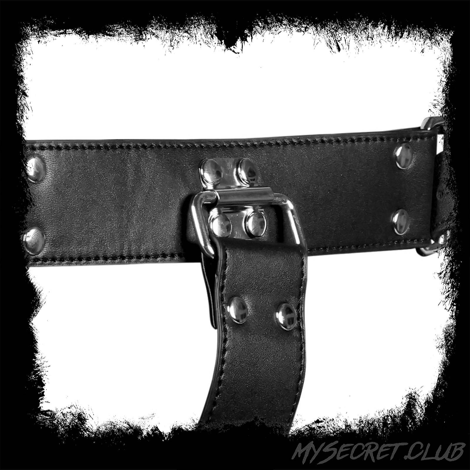 Complete Arm Restraints