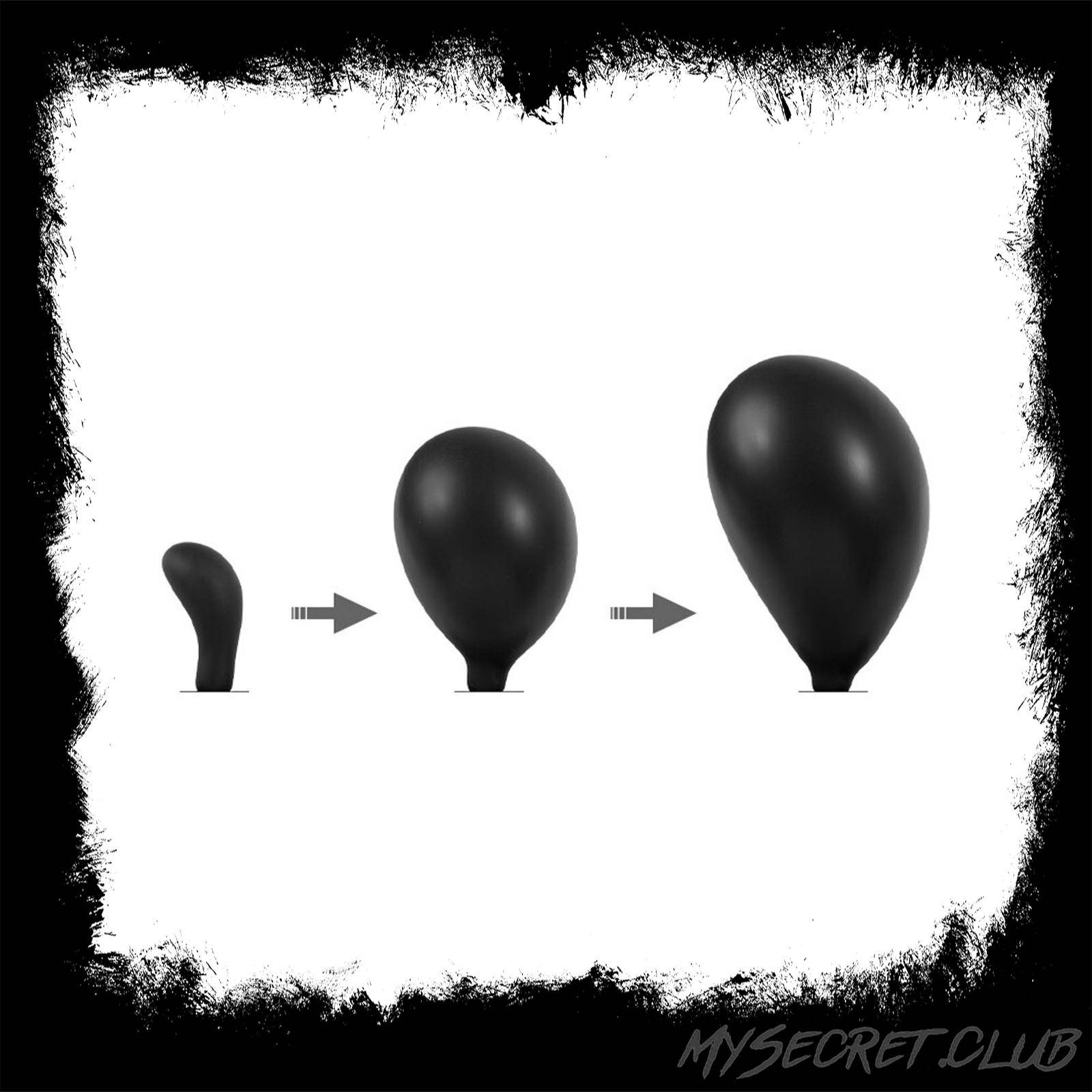 Rimba Latex Play Inflatable Anal Plug